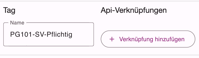 Geöffneter Tag mit Namensfeld und API-Verknüpfungen