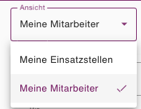 Auswahl der Ansicht zwischen erfassten Zeiten der Mitarbeiter und der Einsatzstellen